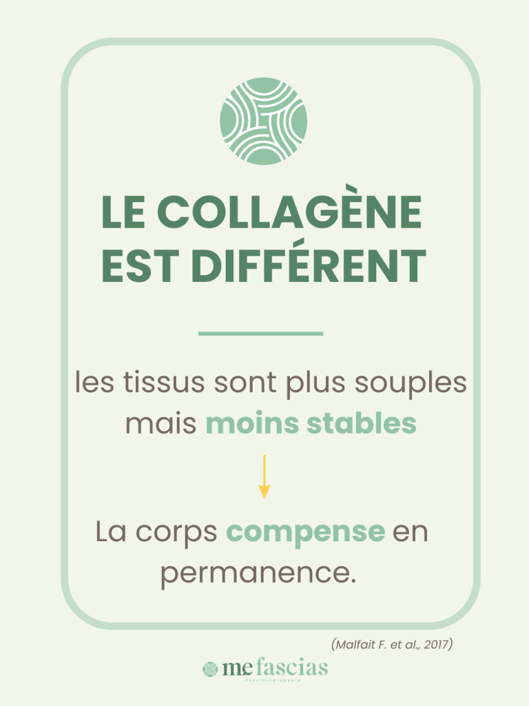 Dans le Syndrome d'Ehlers-Danlos, le collagène présente des particularités pouvant entraîner une plus grande souplesse des tissus et une moindre stabilité corporelle.